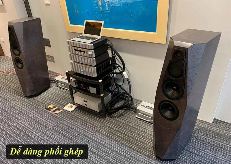 Loa Đứng Avalon Precision Monitor 2