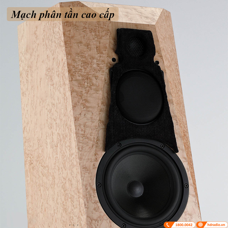 Loa Đứng Avalon Precision Monitor 3