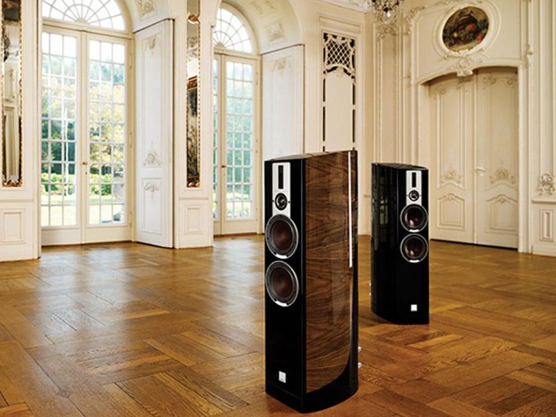 chat lieu vo loa dali epicon 6