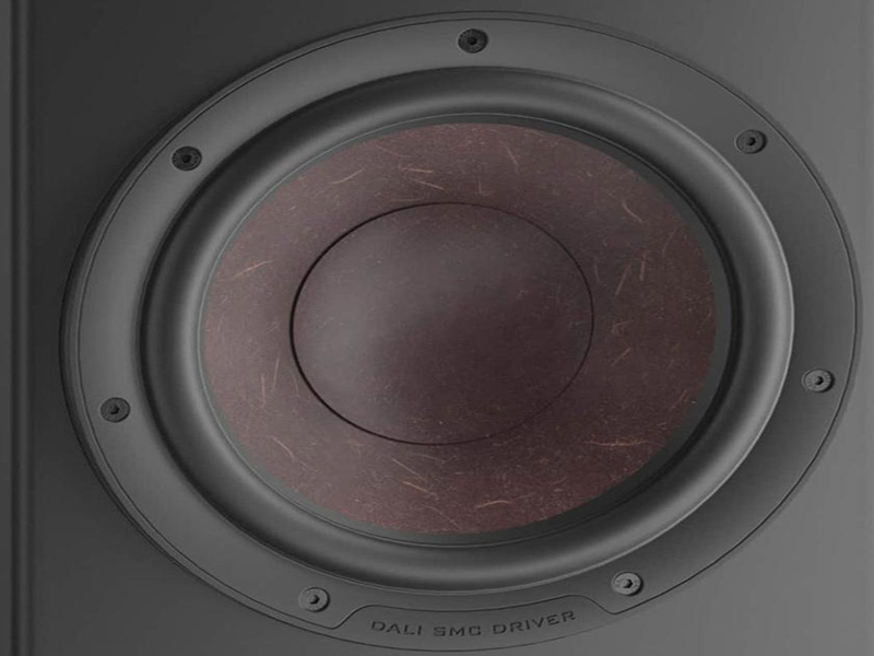 he thong loa bass ung dung cong nghe soi go