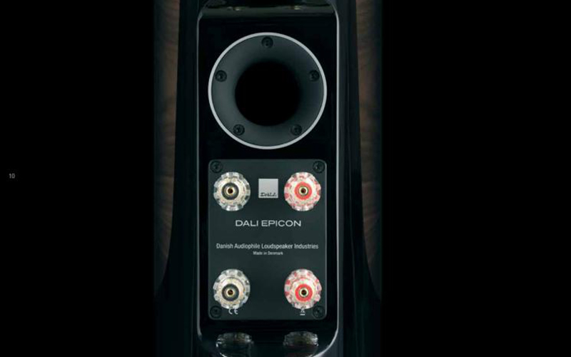 mat sau cua cap loa epicon 8