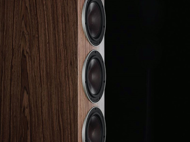 3 cu loa woofer cua loa rubicon 8