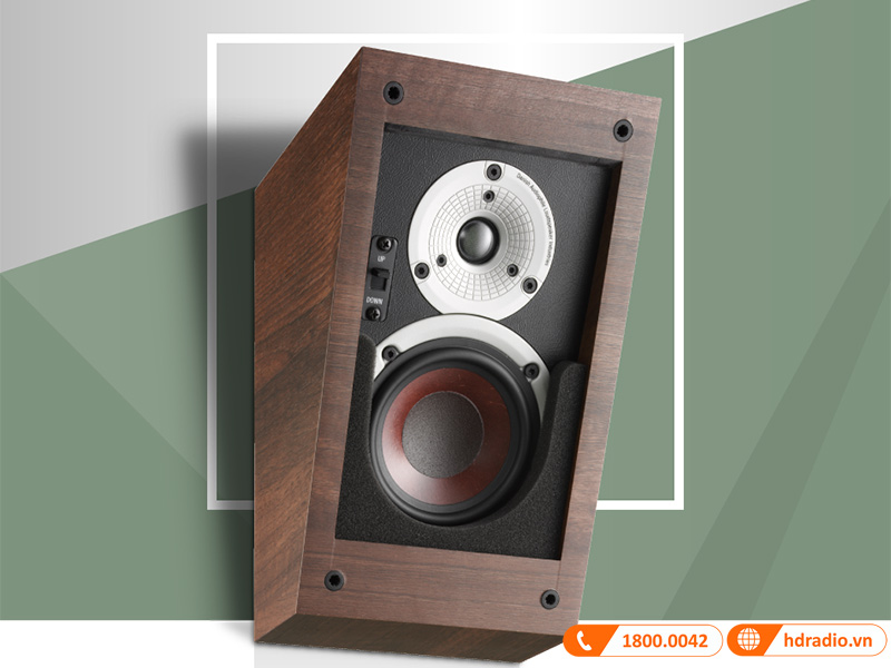 cau truc am thanh loa dali alteco c-1