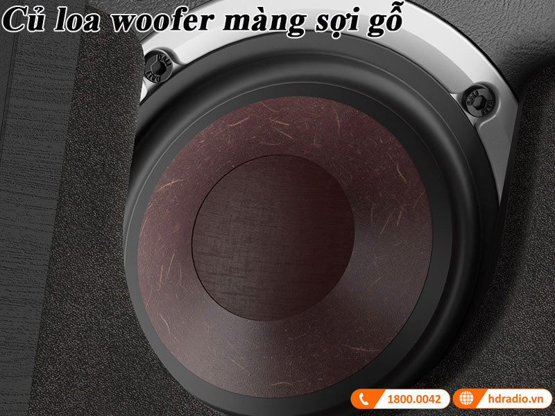 cu loa woofer cua loa dali alteco c-1