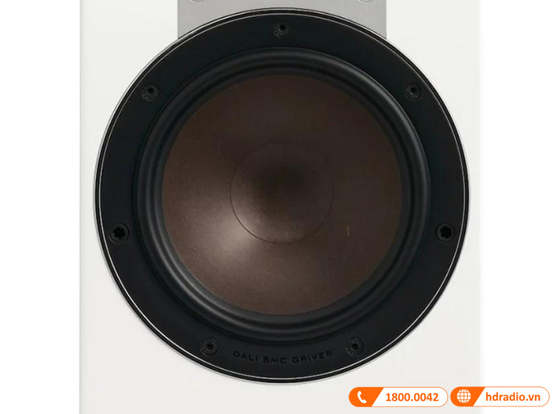 Cu loa woofer ung dung mang soi go