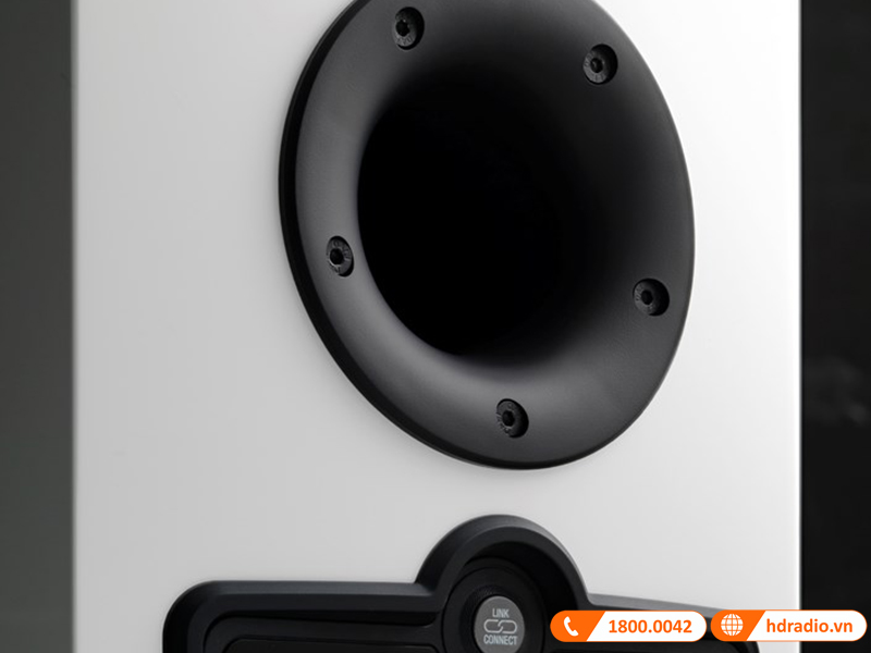 lo thoat hoi cua loa Dali Rubicon 8c