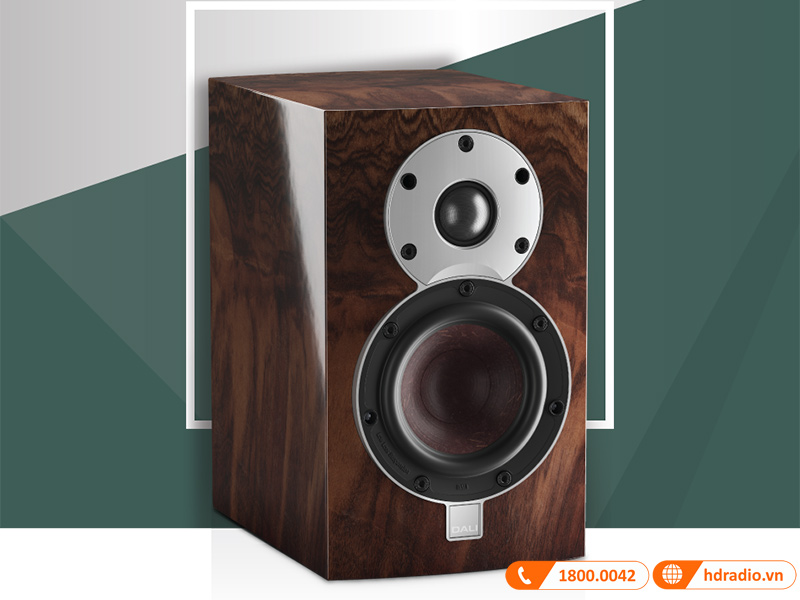 danh gia chi tiet loa dali menuet se