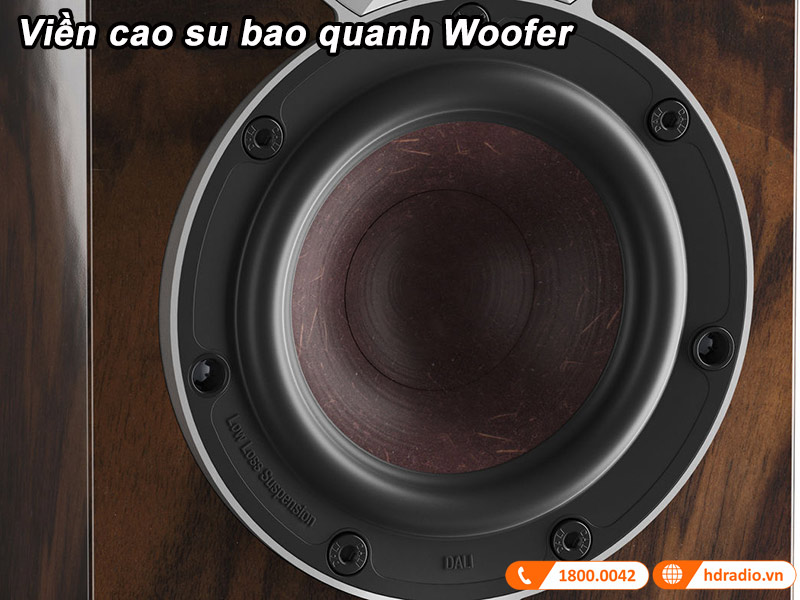 Vien cao su bao quanh cu loa woofer