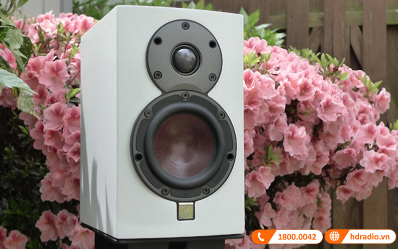 Danh gia chi tiet cap loa Dali Menuet