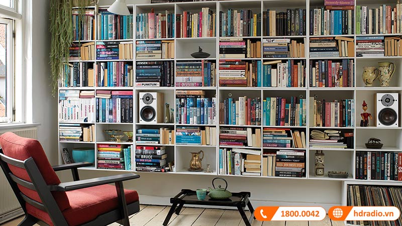 Danh gia chi tiet loa Dali Oberon 1