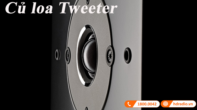 cu loa tweeter mang dome lua mem