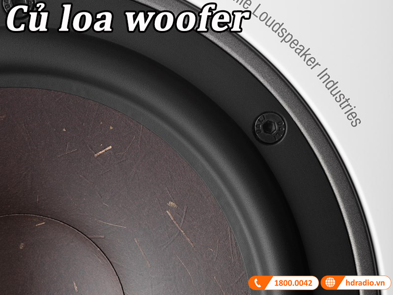 cu loa woofer voi mang loa soi go