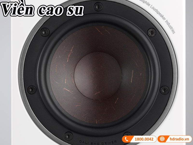 lop cao su bao quanh cu loa woofer