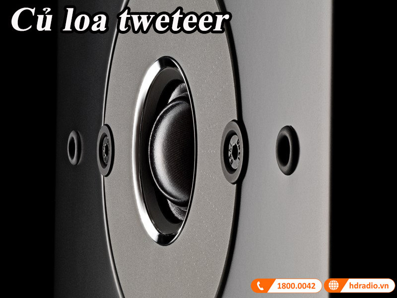 cu loa tweeter vom mem