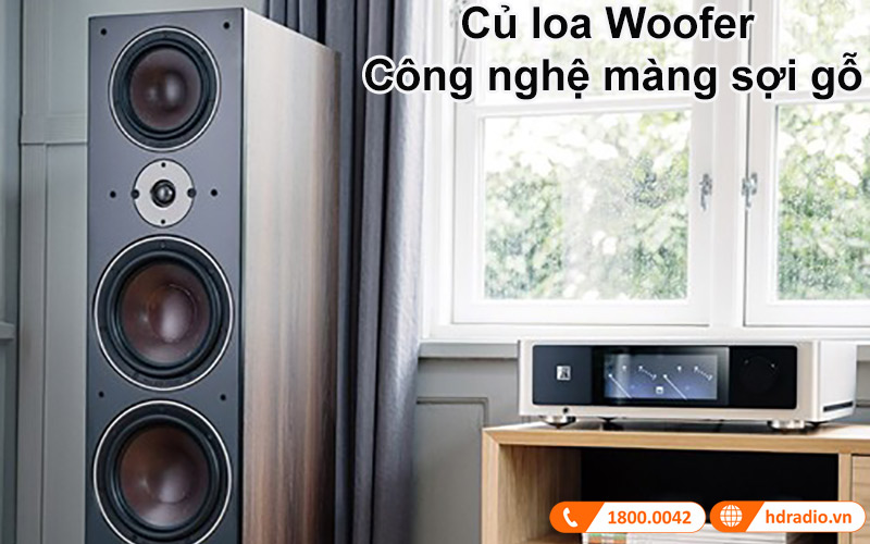cu loa woofer
