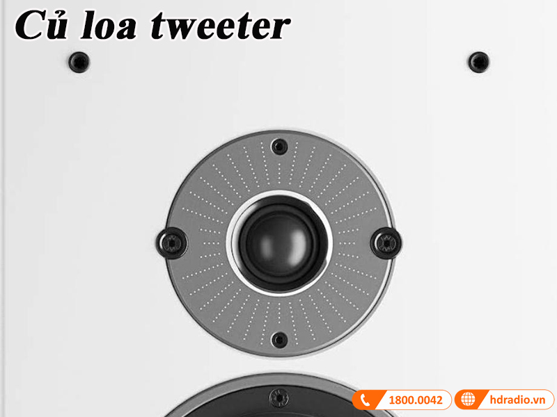 cu loa tweeter mang dome lua mem