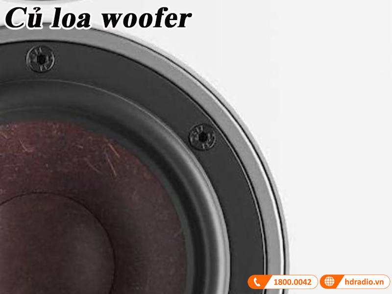 cu loa woofer hinh non soi go