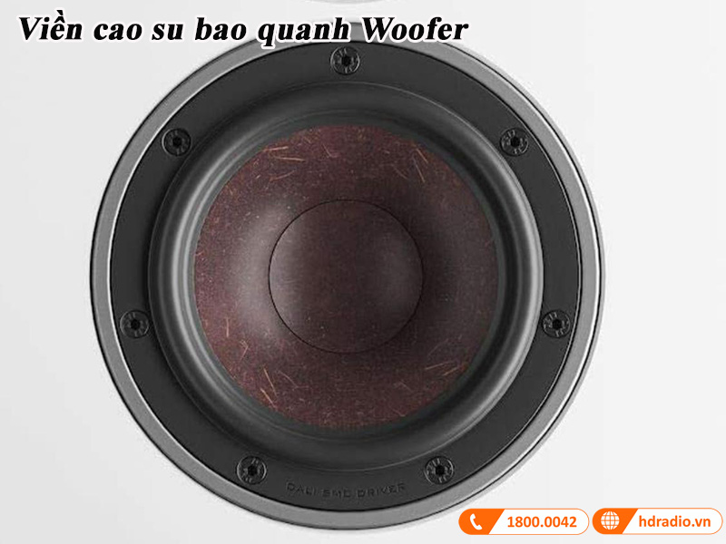 lop cao su bao quanh mang loa