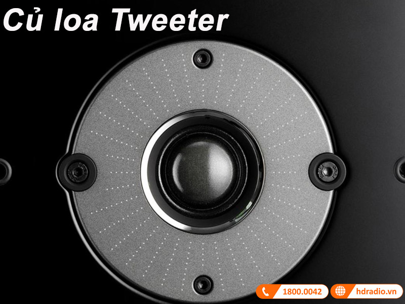 cu loa tweeter dome mua mem