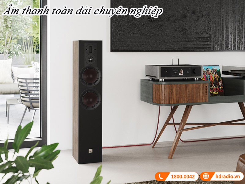 Am thanh toan dai chuyen nghiep