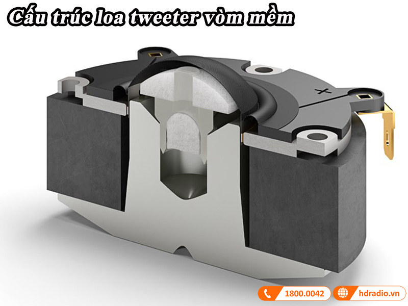 cau truc cu loa tweeter vom mem