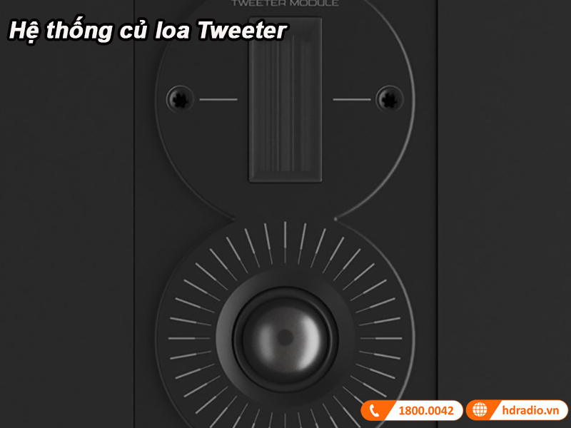 He thong cu loa tweeter