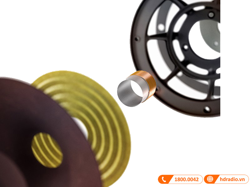 cau truc cu loa woofer