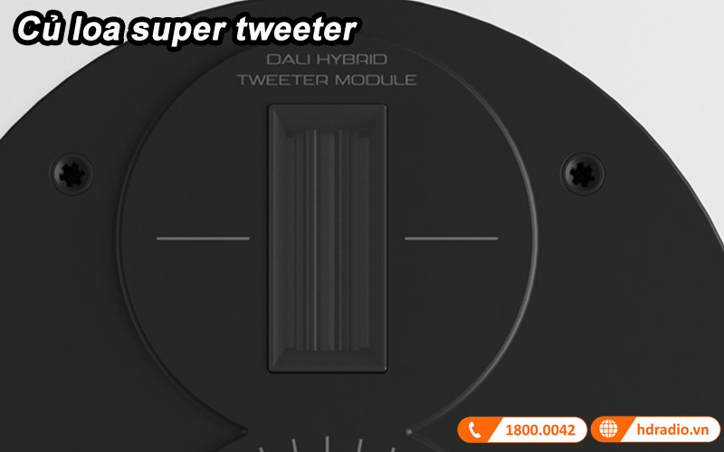cu loa super tweeter