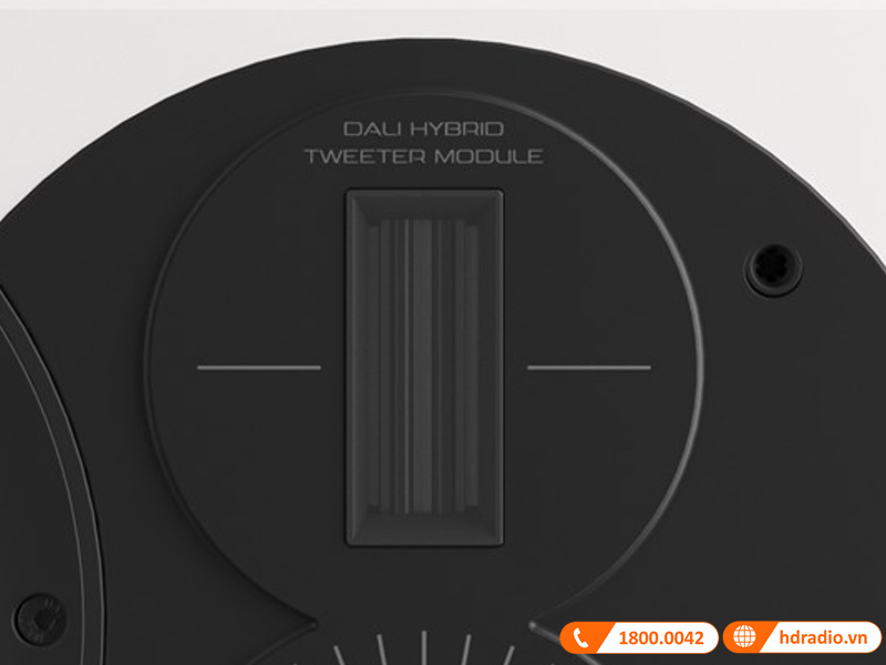 cu loa tweeter ribbon