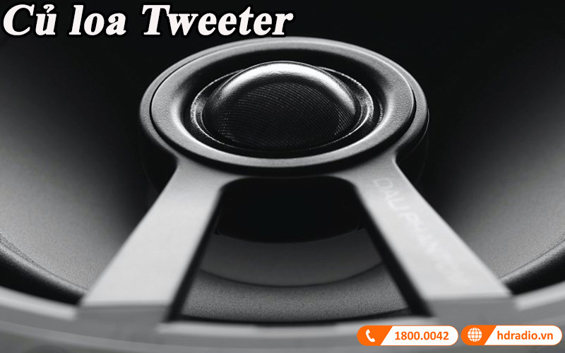 cu loa tweeter vom mem