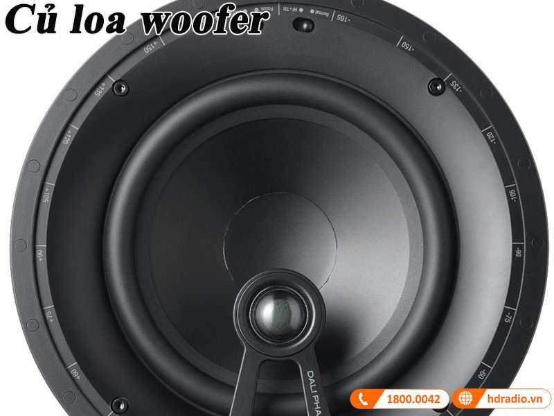 cu loa woofer hinh non