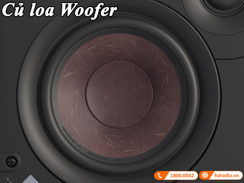 cu loa woofer voi mang soi go doc quyen