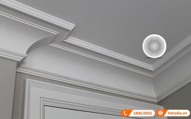 loa dali phantom k-80 nghe nhac hay