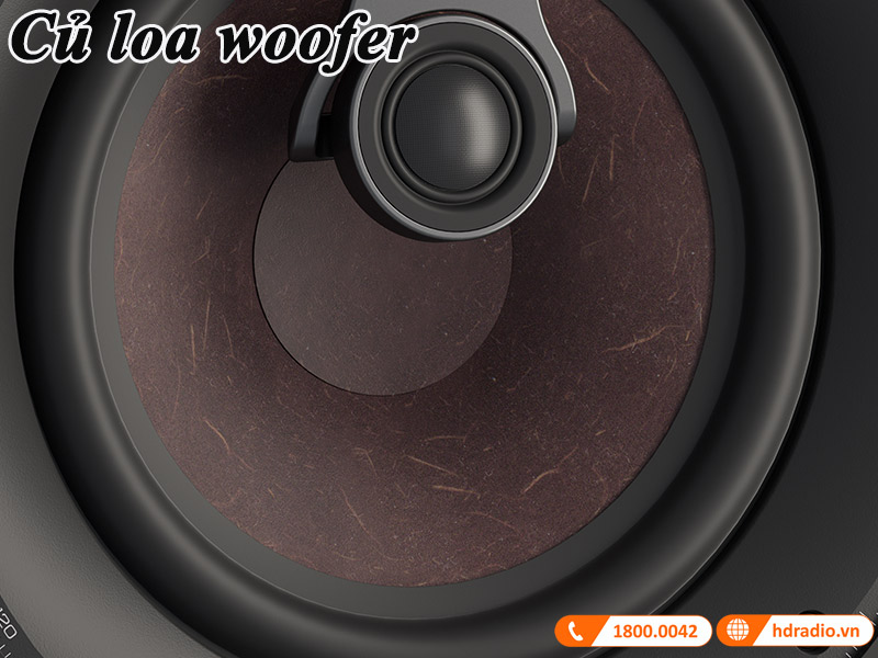 cu loa woofer cua dali phantom k-80