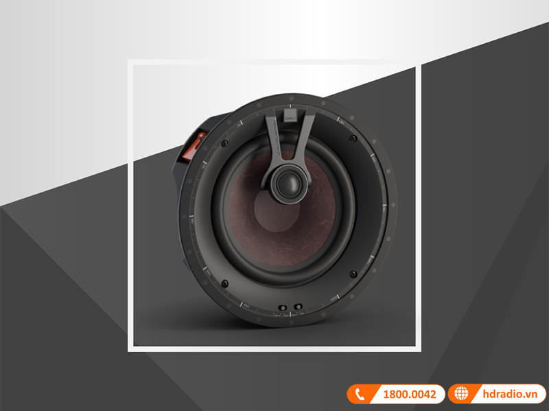 loa am tran dali phantom k-80