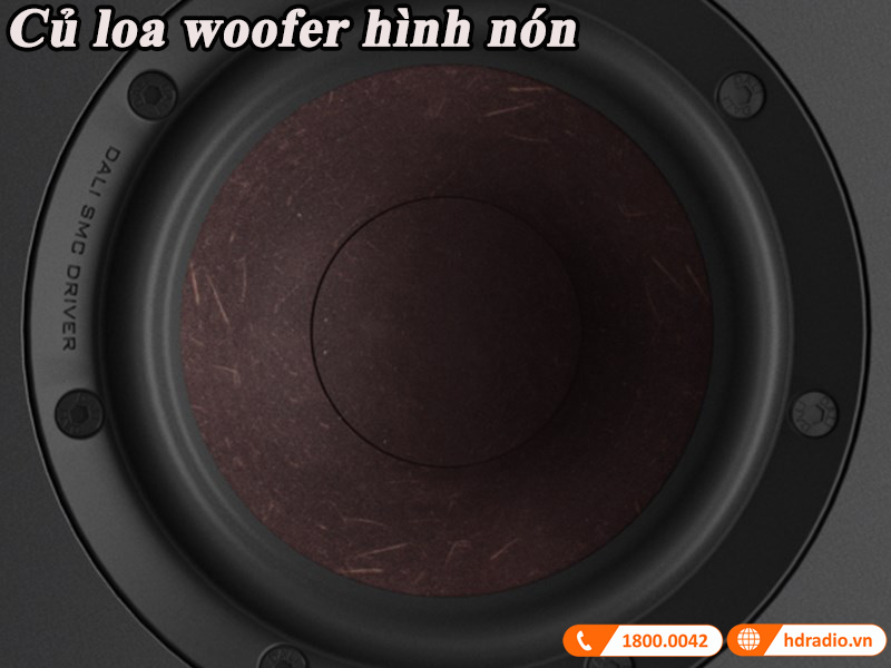 loa wooe hinh non voi mang soi go doc quyen