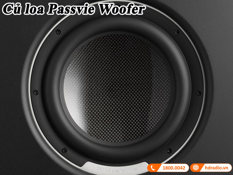 cu loa tram thu doc duoc lam tu chat lieu carbon