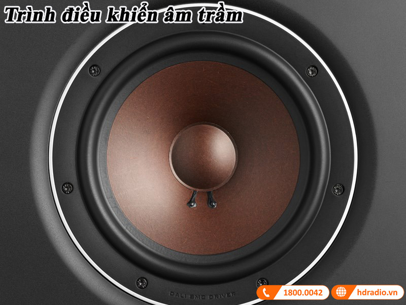 cu loa tram voi mang soi go doc quyen