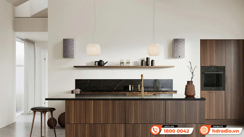 Loa Dali Rubikore On-wall