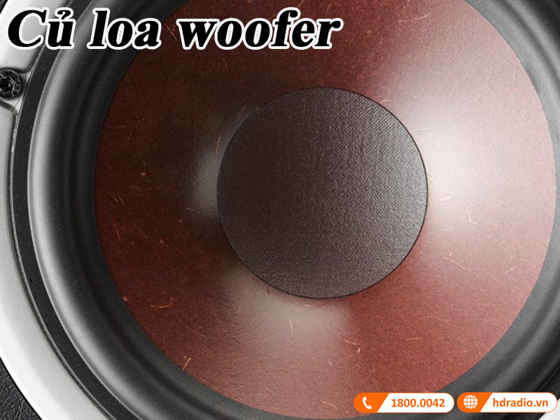 cu loa woofer