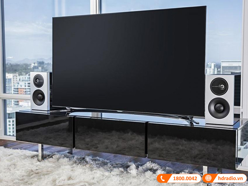 Loa nghe nhạc Definitive Technology Demand D11 Loa nghe nhạc Definitive Technology Demand D11