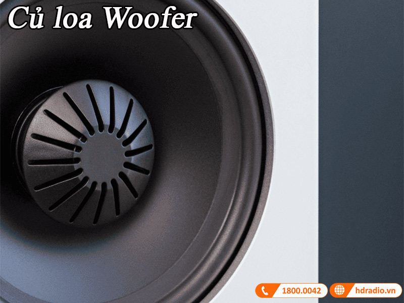 Củ loa Woofer