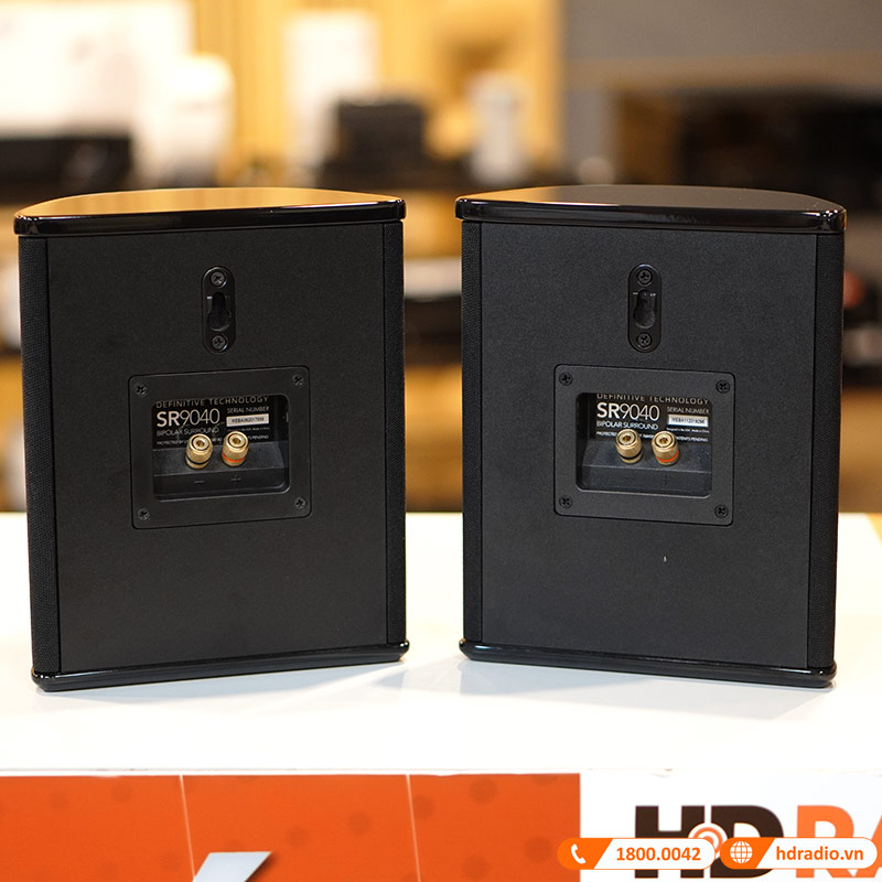 Loa Definitive Technology SR9040 (Độ nhạy 92dB, Tần số 50Hz-30KHz)-6