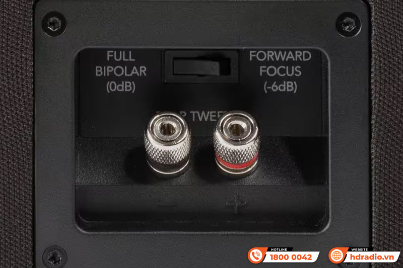 Loa Definitive Technology Dymension DM40