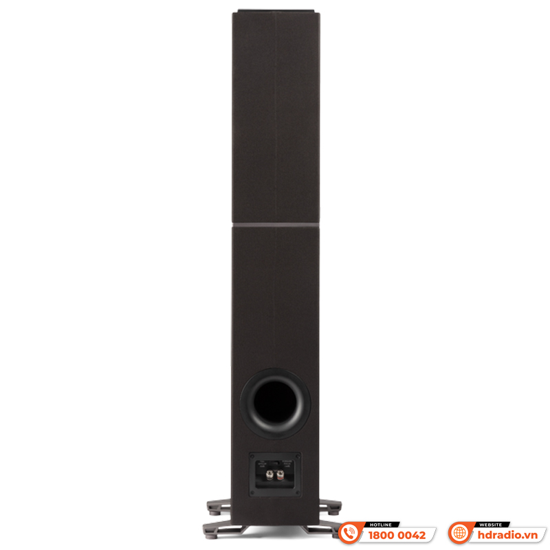 Loa Definitive Technology Dymension DM40