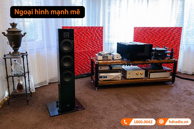 ngoại hình mạnh mẽ