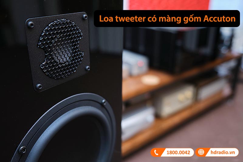 loa tweeter màng gốm Accuton