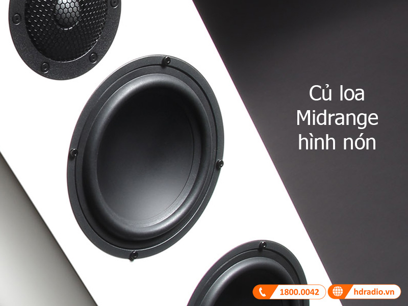 Gauder Akustik Capello 100