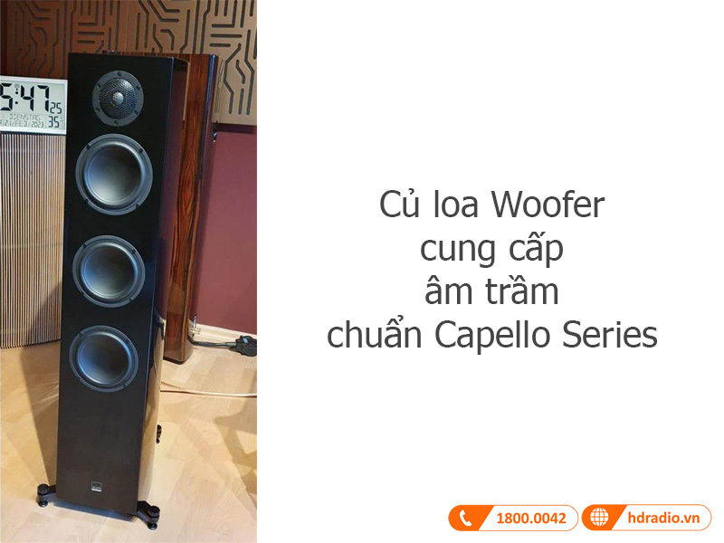 Gauder Akustik Capello 100