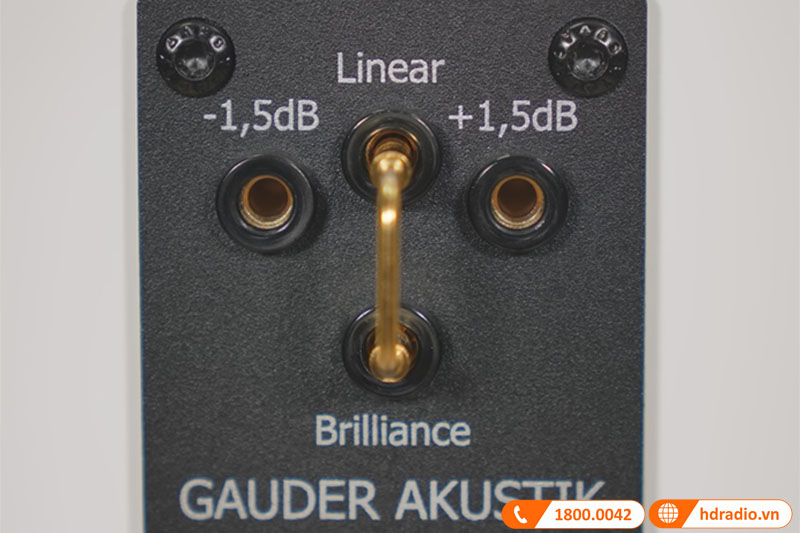 Loa Gauder Akustik Capello 80